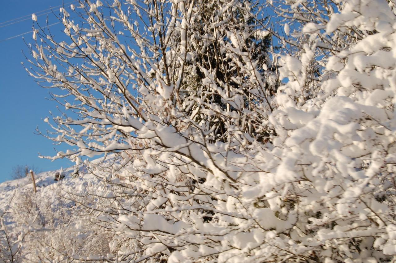 Joly Saint Sauveur Bed & Breakfast Villard-Saint-Sauveur Luaran gambar